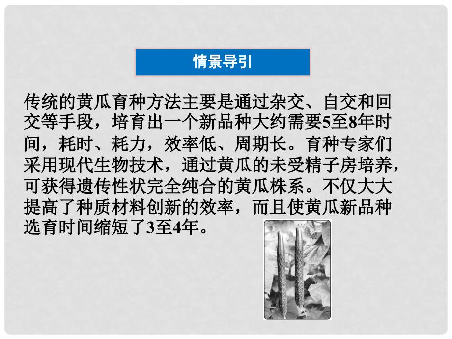 高中生物 第二章 克隆技术 第二节 植物的克隆课件 浙科版选修3_第3页