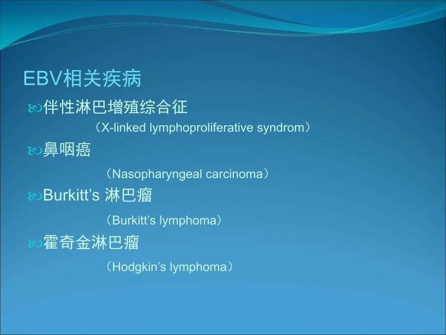 EB病毒的临床意义_第5页