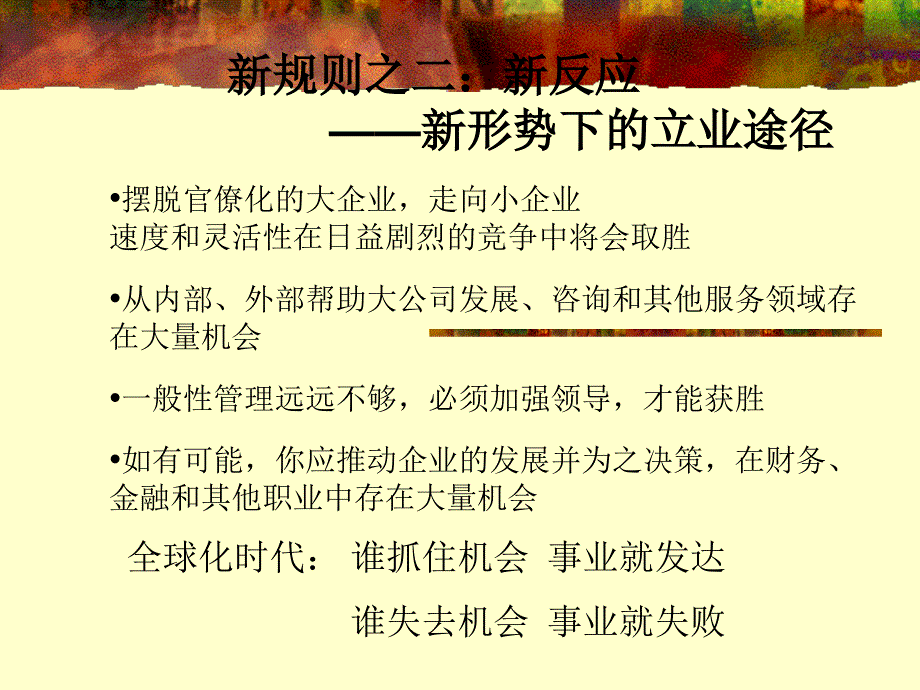 竞争战略21世纪企业和个人成功的8项理念ppt166页_第4页