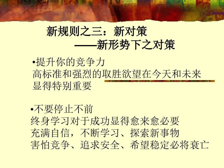 竞争战略21世纪企业和个人成功的8项理念ppt166页_第5页