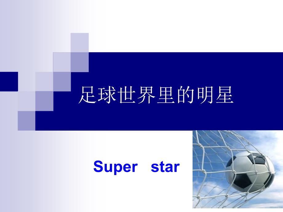 足球世界里的明星_第1页