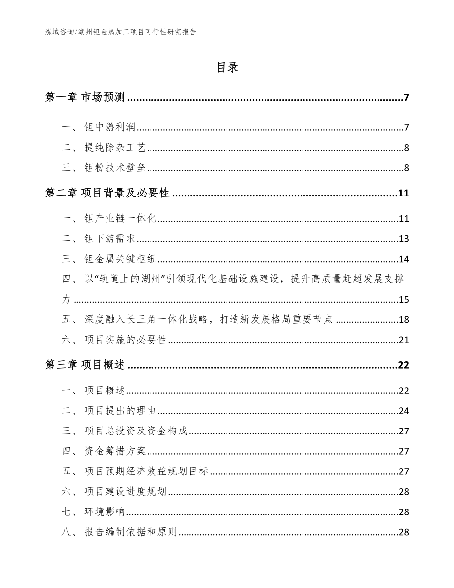 湖州钽金属加工项目可行性研究报告_第1页