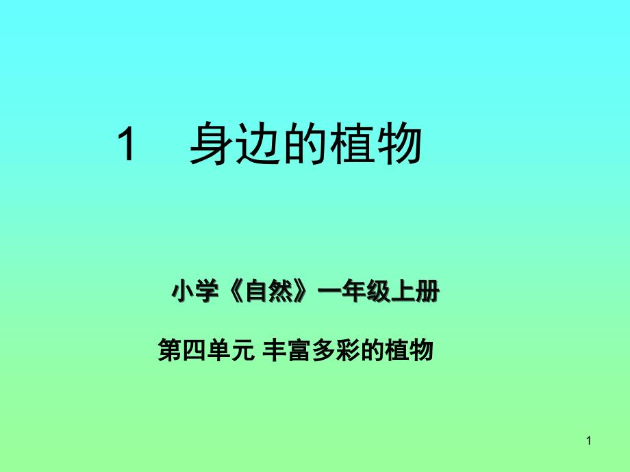 沪教版一年级上自然丰富多彩的植物身边的植物课堂PPT_第1页