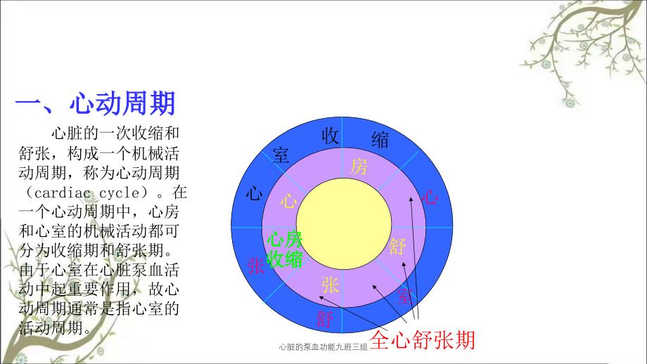 心脏的泵血功能九班三组_第2页