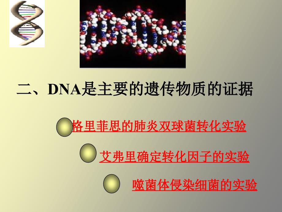 高二生物DNA是主要的遗传物质_第3页