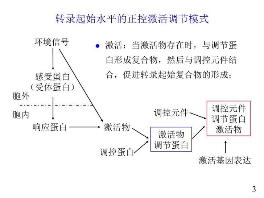 最新微生物第八章-2PPT课件_第3页