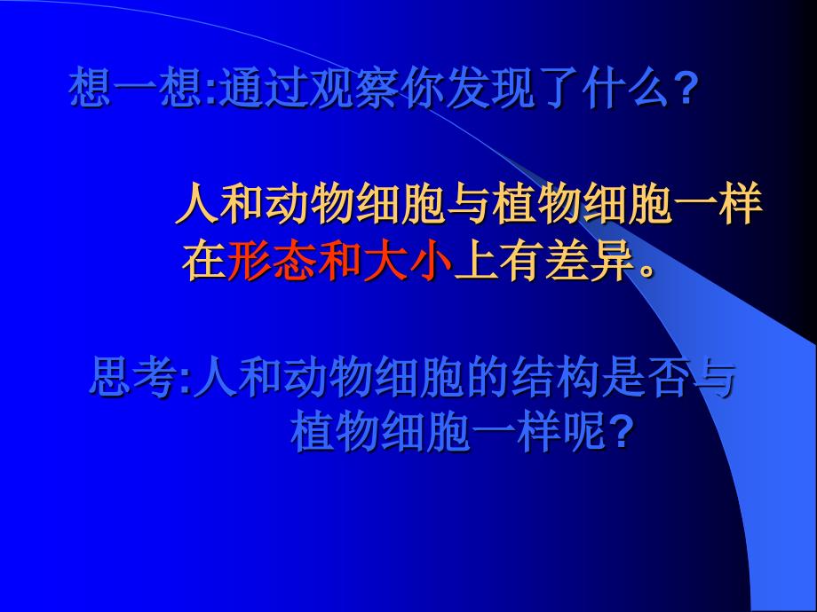 人和动物细胞的结构和功能PPT_第3页