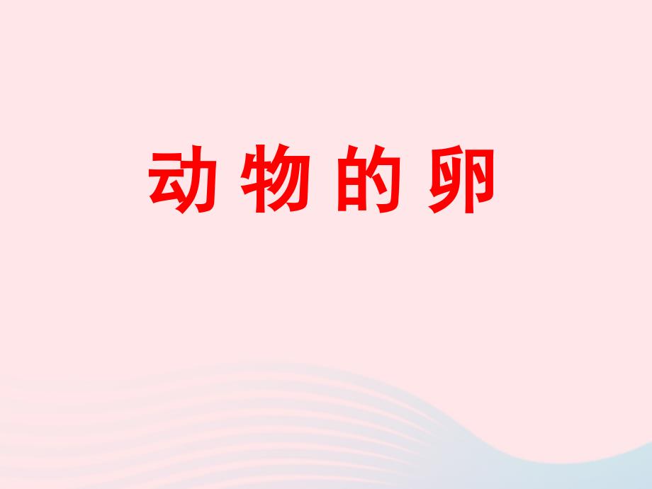 最新四年级科学下册2新的生命6动物的卵课件4_第1页