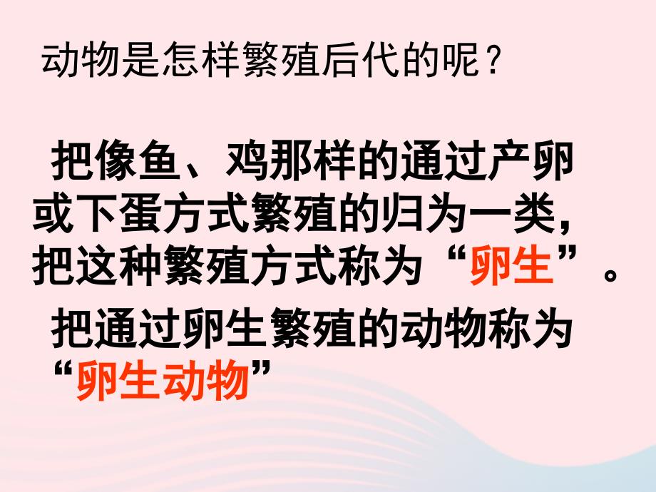 最新四年级科学下册2新的生命6动物的卵课件4_第2页