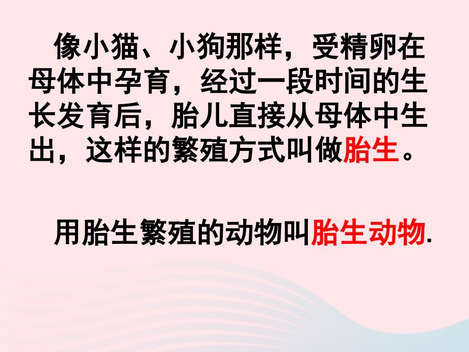 最新四年级科学下册2新的生命6动物的卵课件4_第3页