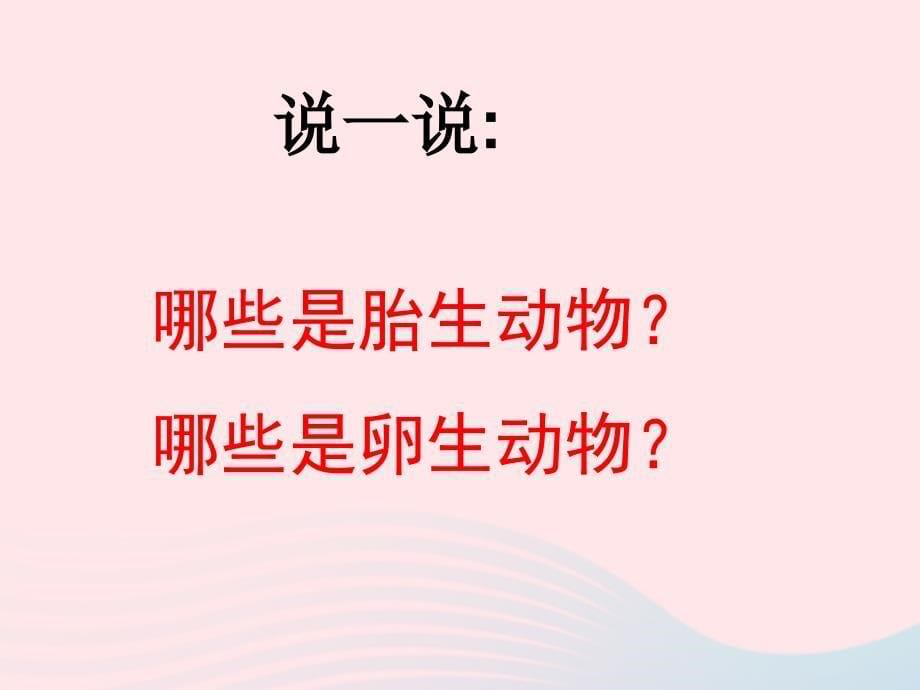 最新四年级科学下册2新的生命6动物的卵课件4_第5页