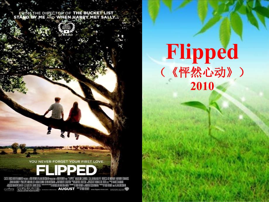 怦然心动英文介绍幻灯片_第1页