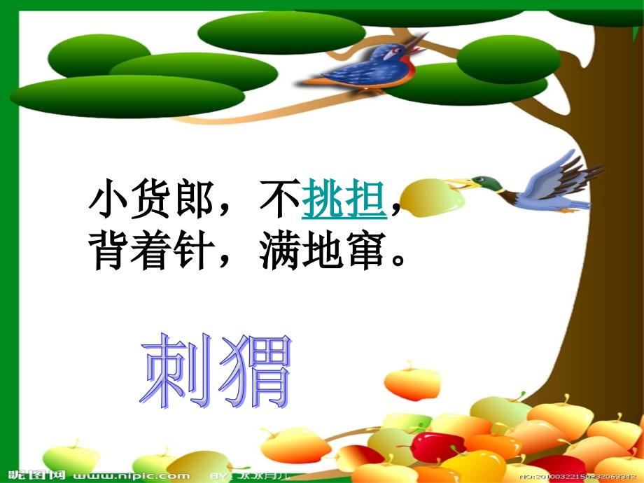 三年级科学上夜班的动物.ppt_第4页