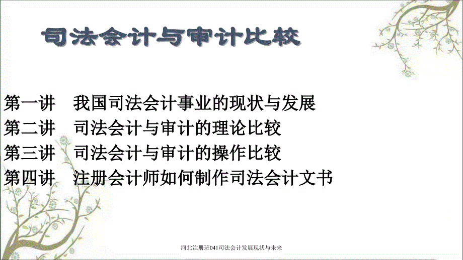 河北注册班041司法会计发展现状与未来课件_第2页