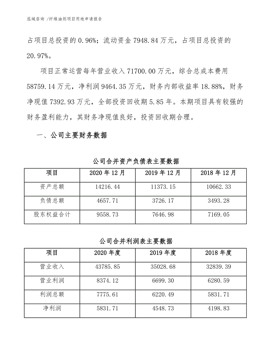 纤维油剂项目用地申请报告（模板范本）_第3页