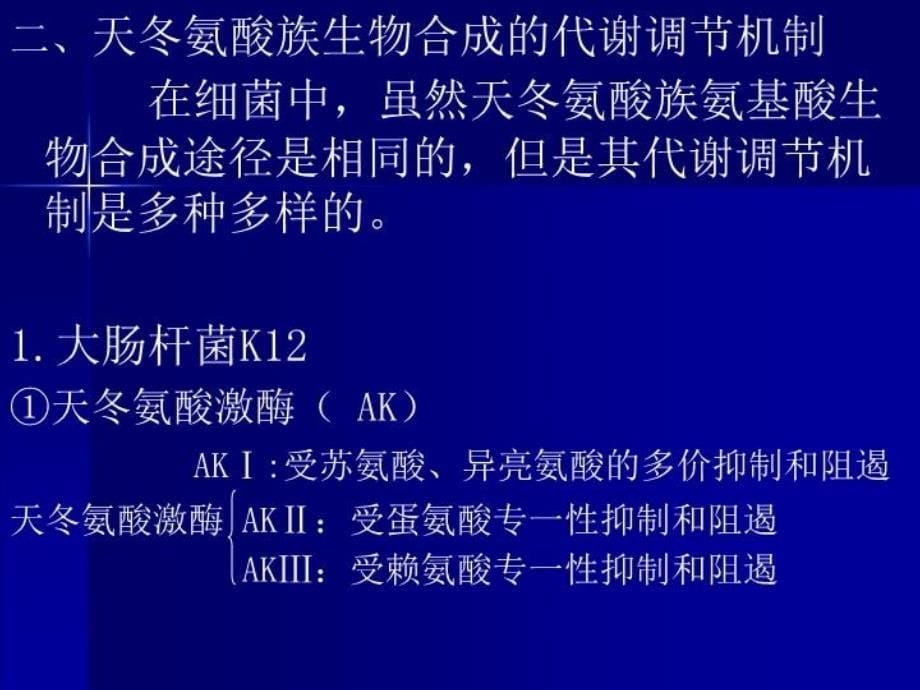 最新天冬氨酸族氨基酸发酵机制赖氨酸补充材料PPT课件_第5页