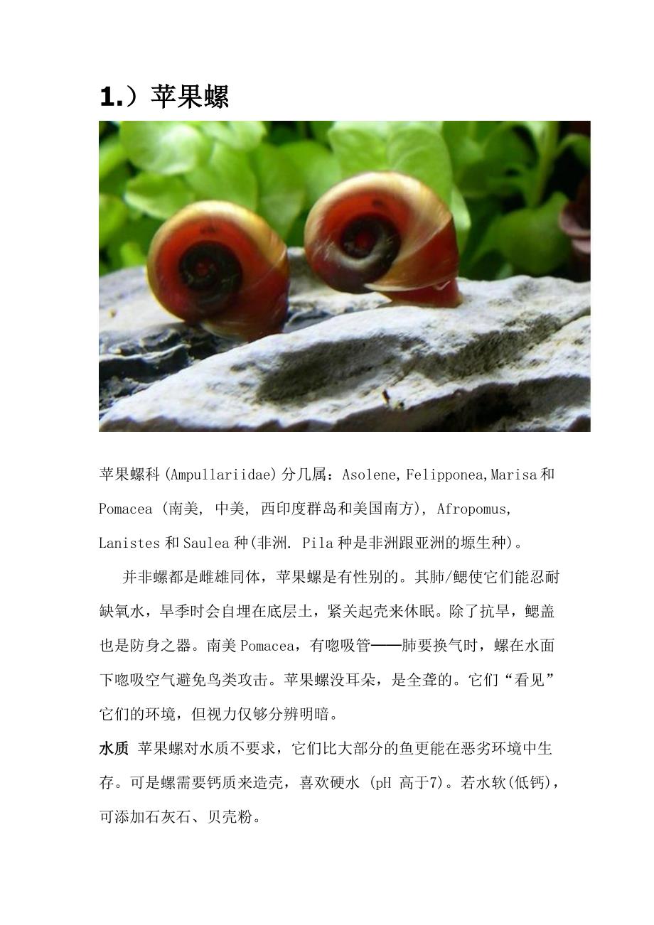 淡水螺-海水螺-汽水域螺-观赏螺-养螺条件.doc_第1页