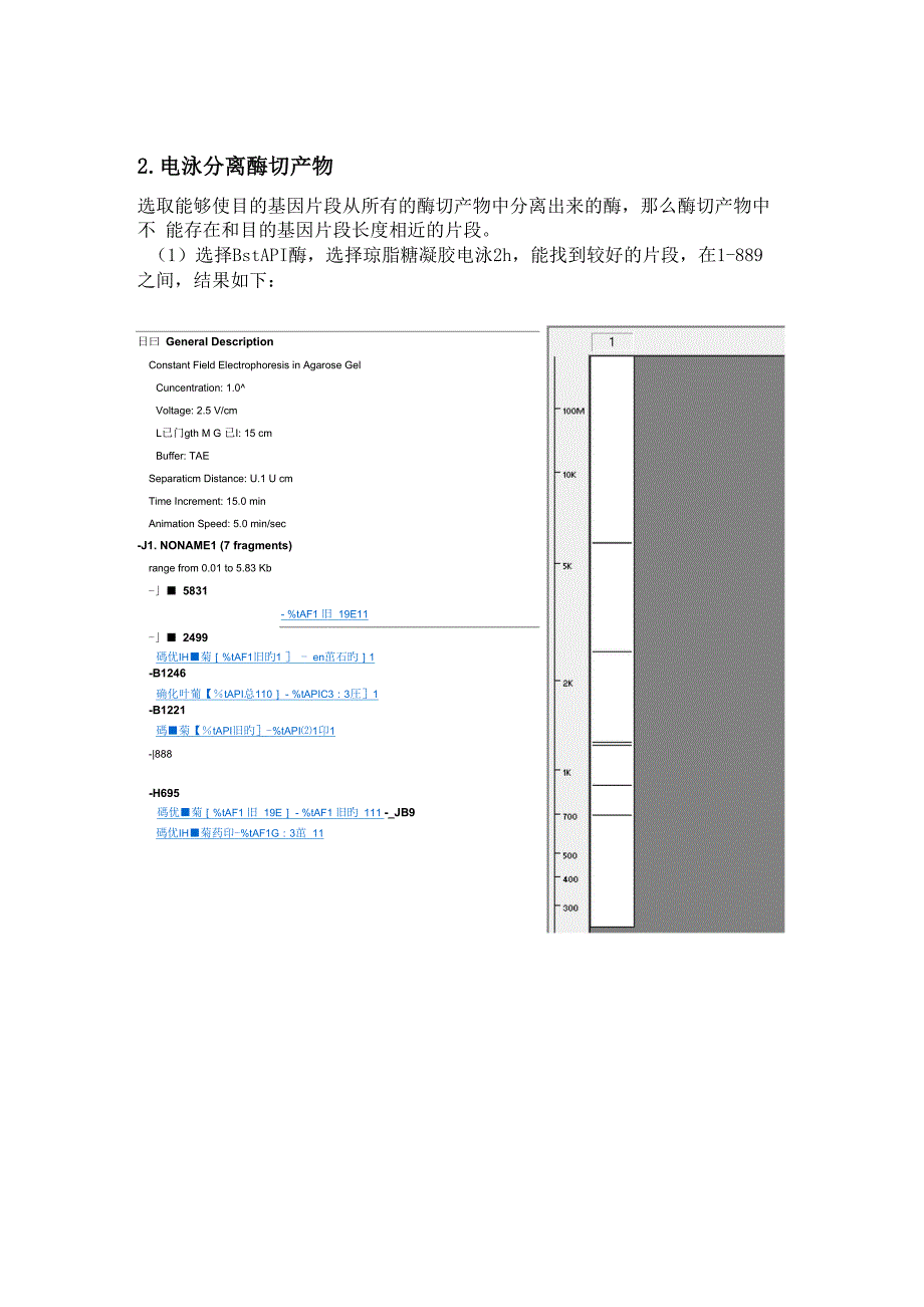 硫化叶菌的假定蛋白质基因的PCR扩增_第3页