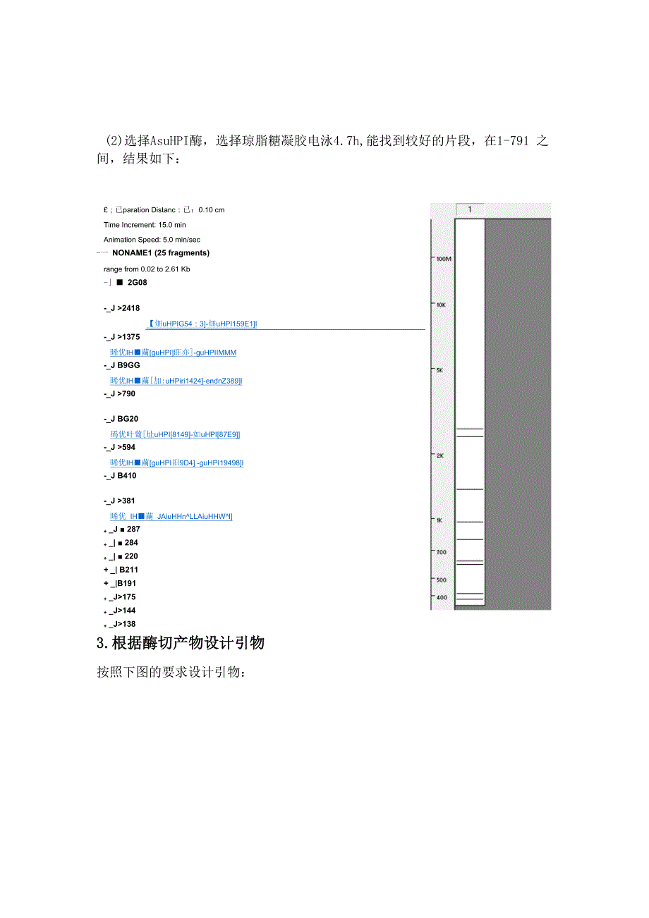 硫化叶菌的假定蛋白质基因的PCR扩增_第4页