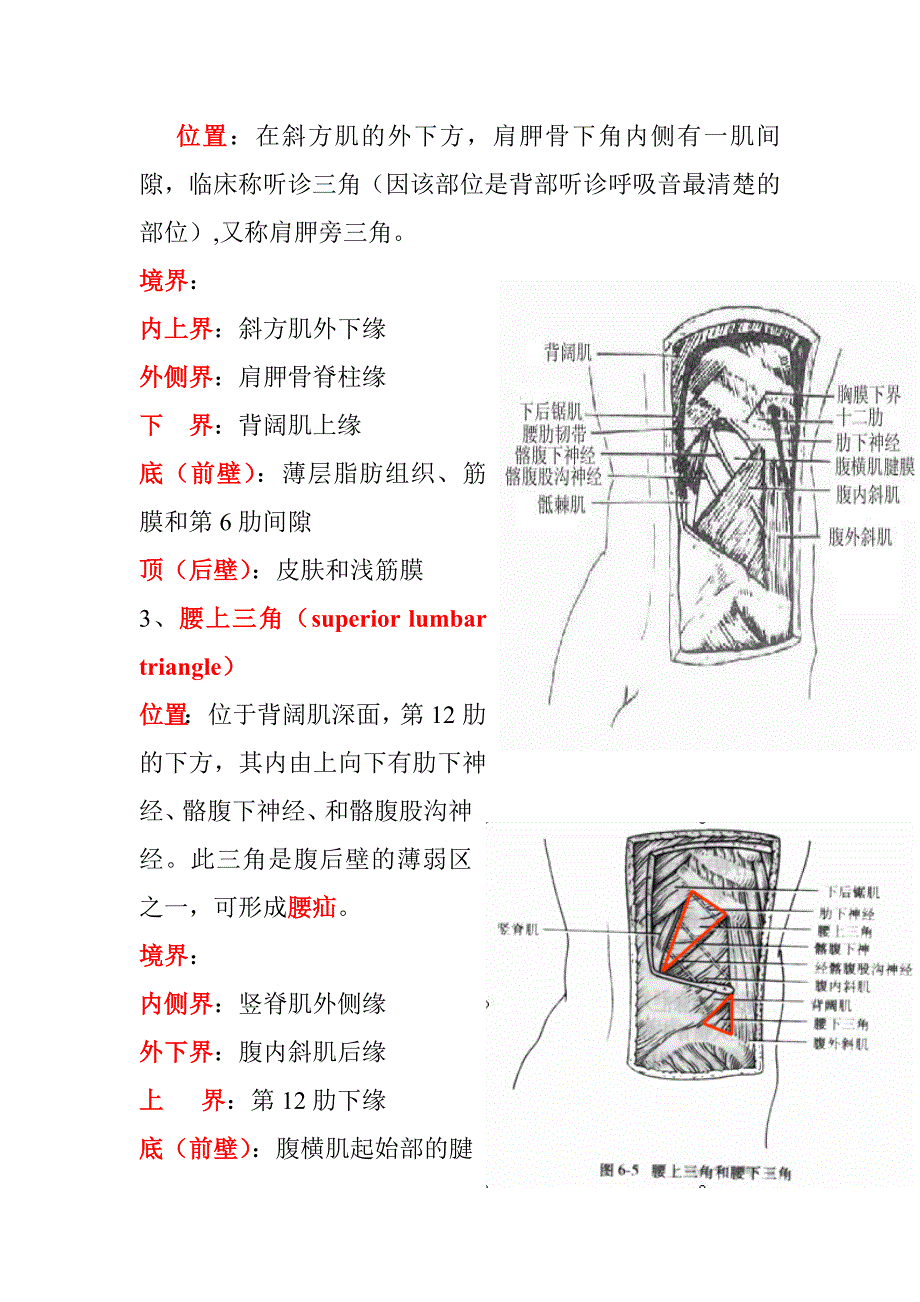 局解复习资料之脊柱区.doc_第3页