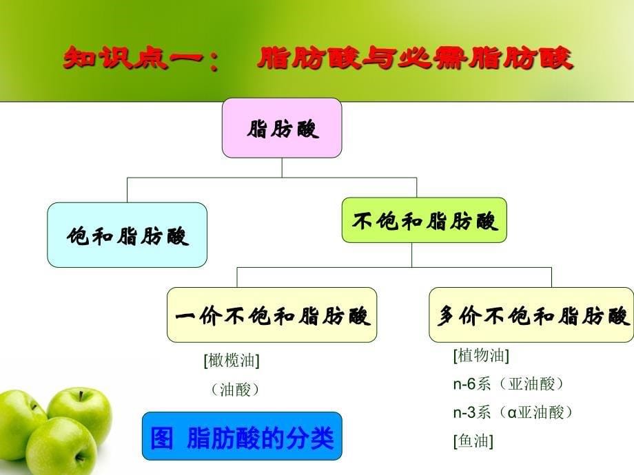 食品营养与卫生第一模块课件_第5页