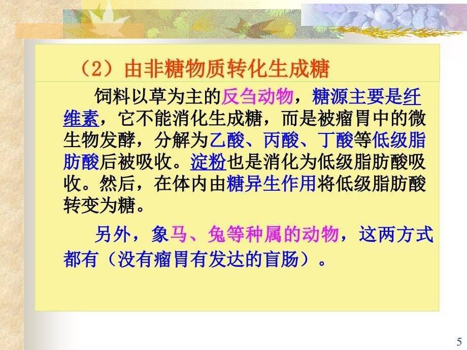 糖的无氧分解_第5页