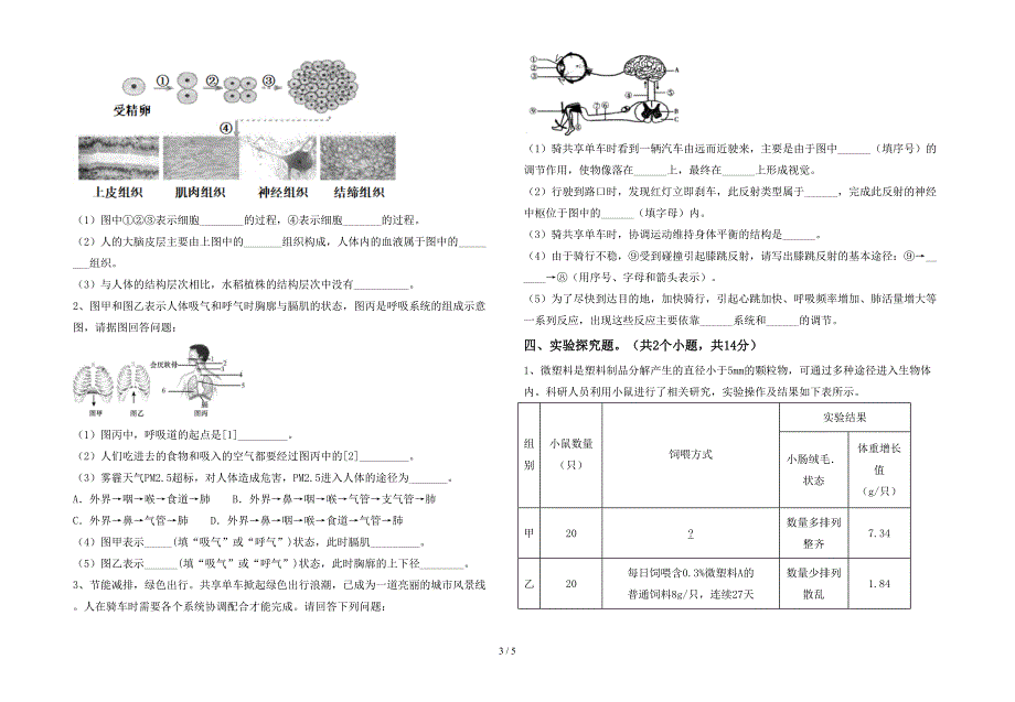 2023年人教版七年级上册《生物》期末测试卷(参考答案).doc_第3页