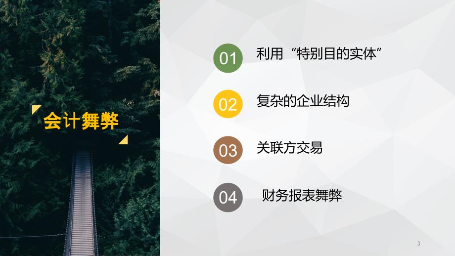 关于安然公司财务造假的审计案例分析教学提纲_第3页