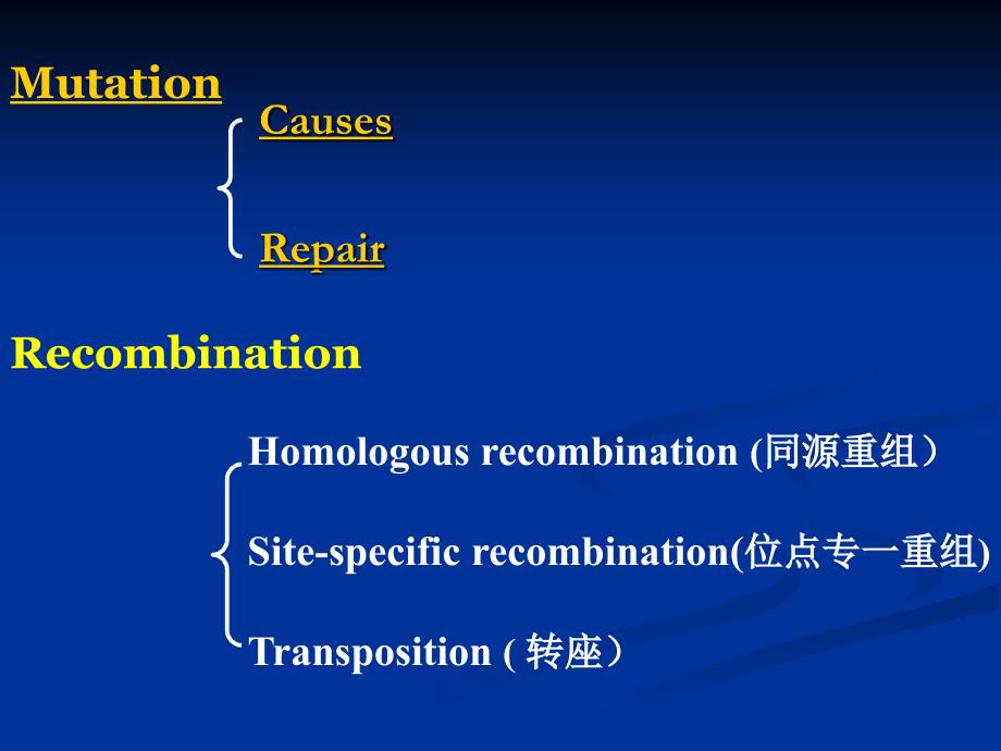 分子生物学4 chapter9英语_第2页