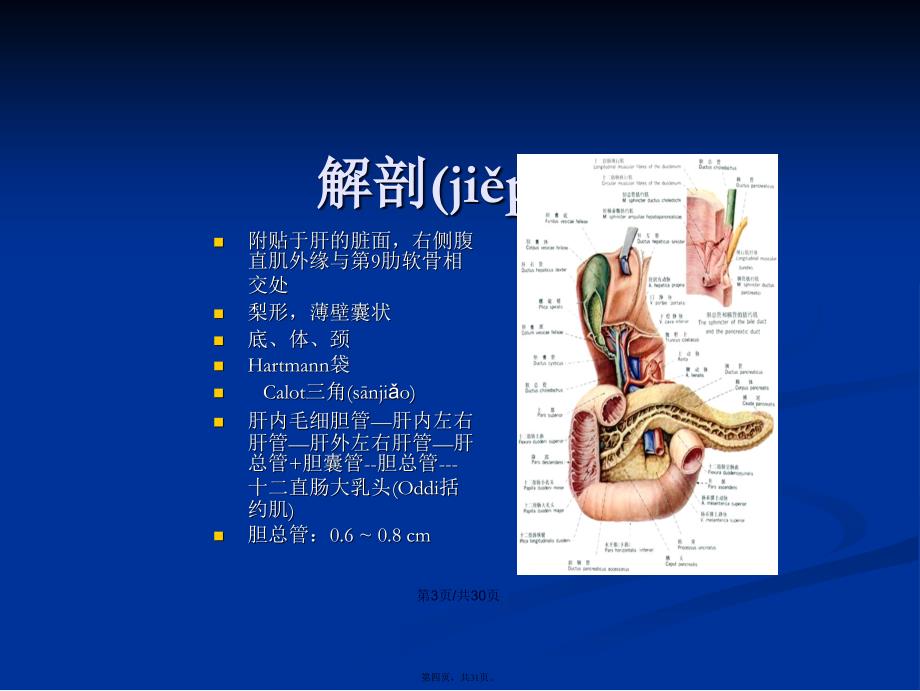 胆道疾病病人的护理diseaseofbiliaryP学习教案_第4页