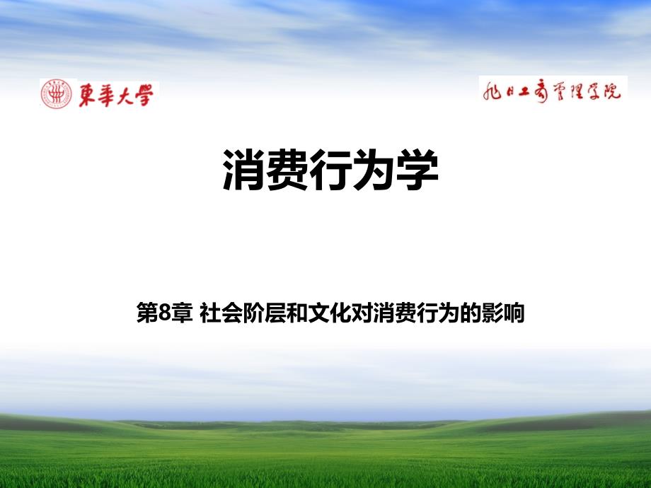 消费者行为学第8章社会阶层和文化对消费行为的影响_第1页