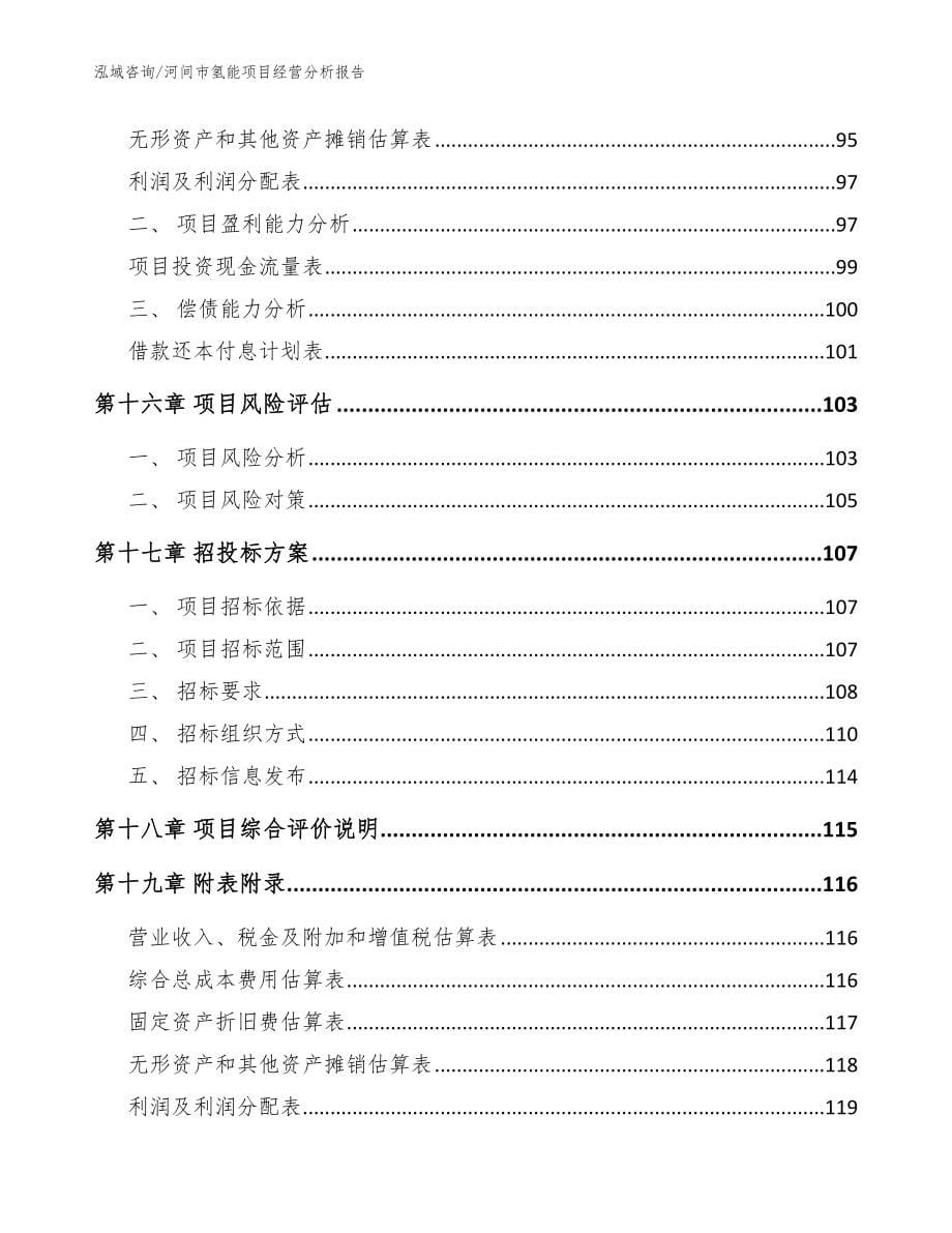 河间市氢能项目经营分析报告范文_第5页