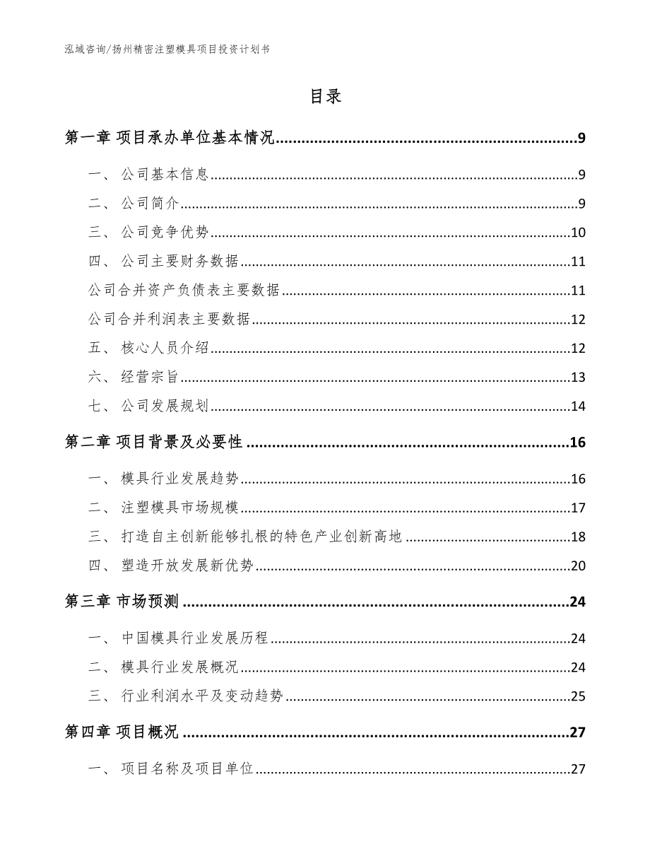 扬州精密注塑模具项目投资计划书模板范文_第2页