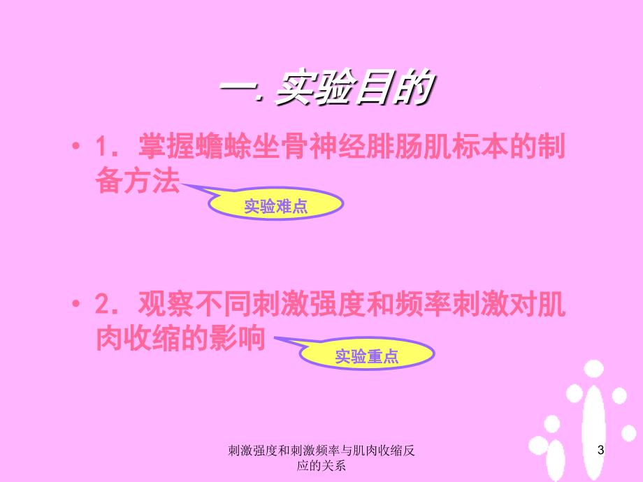 刺激强度和刺激频率与肌肉收缩反应的关系课件_第3页