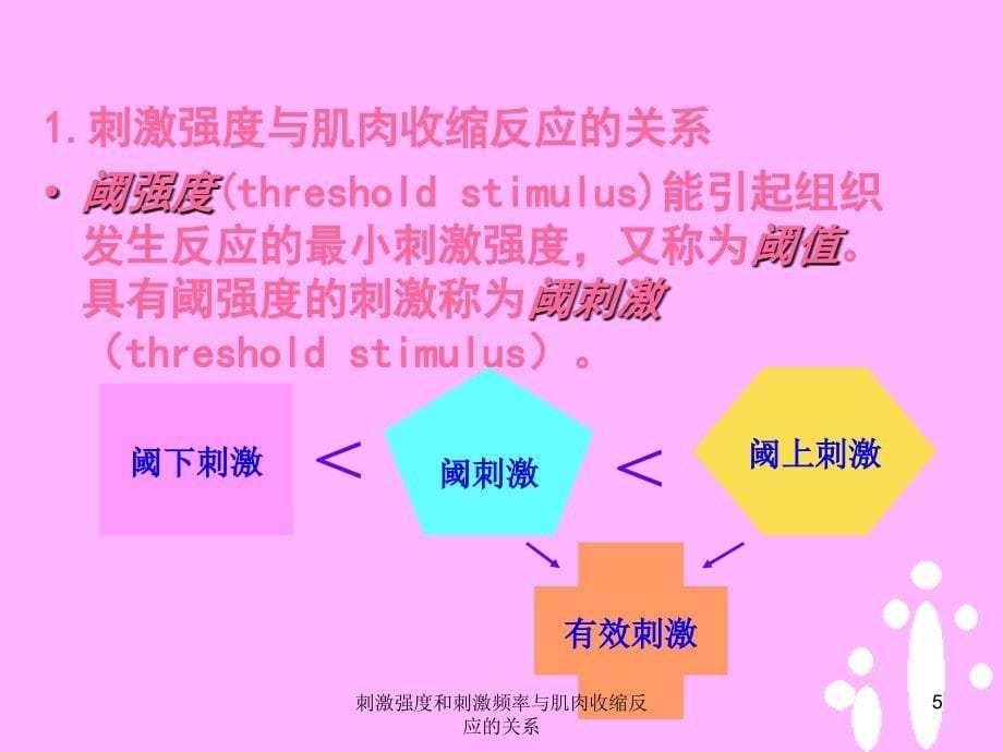 刺激强度和刺激频率与肌肉收缩反应的关系课件_第5页