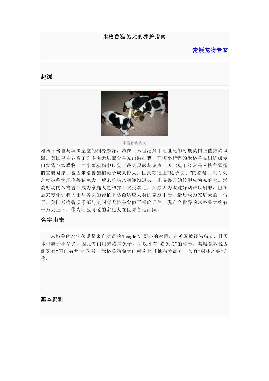 米格鲁猎兔犬的养护指南_第1页