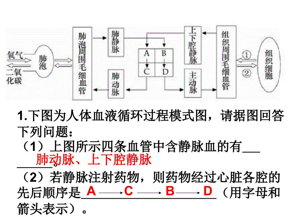 复习一复习二答案.ppt_第2页