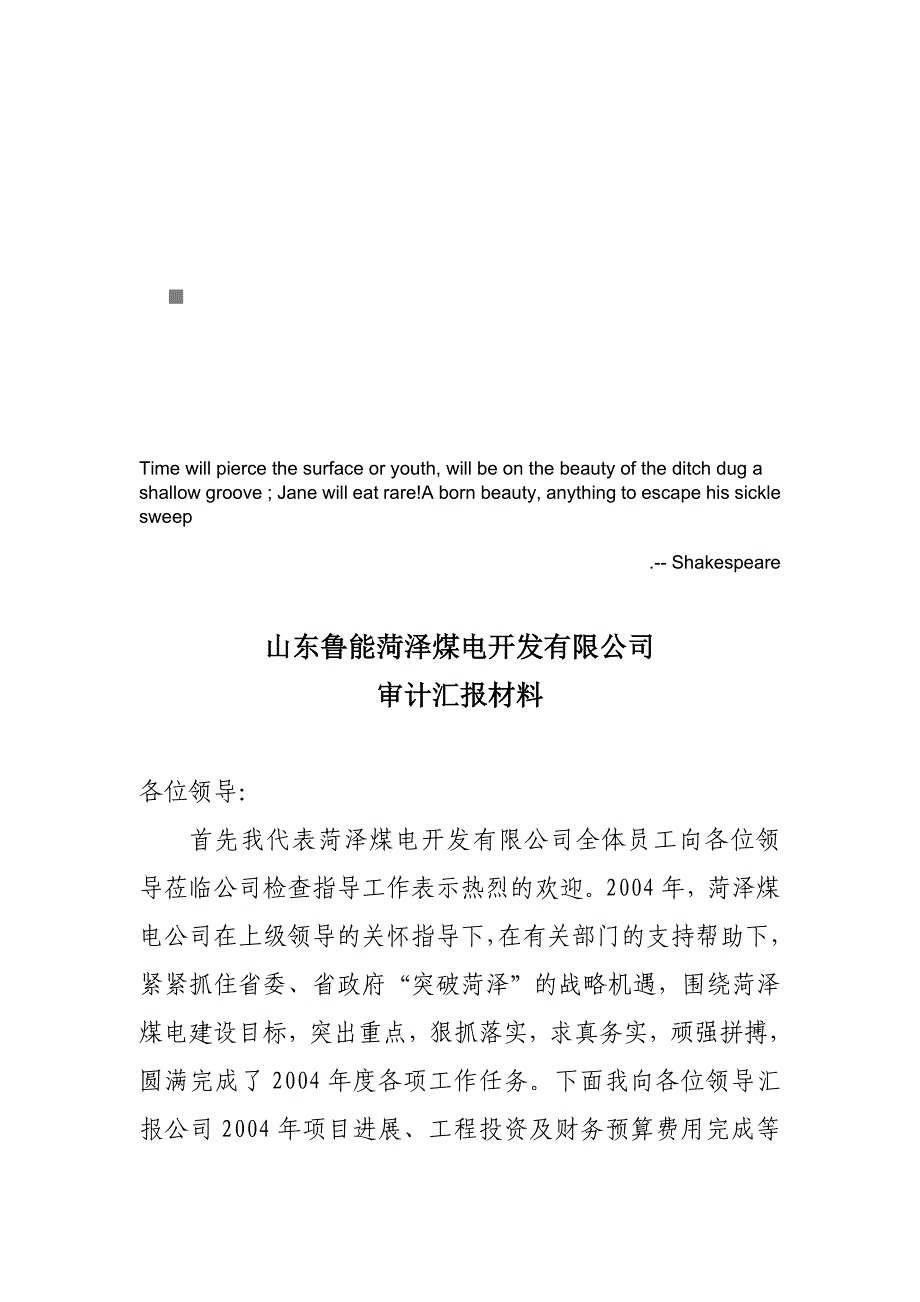 山东某公司审计汇报材料_第1页