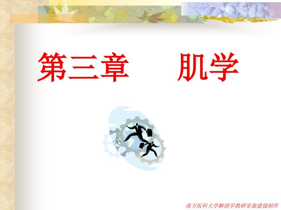 系统解剖学：03肌学_第1页