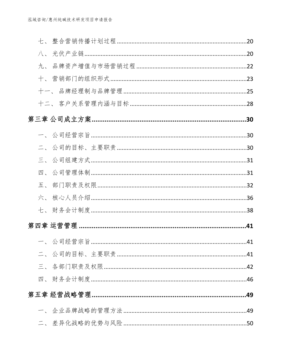 惠州纯碱技术研发项目申请报告_第4页