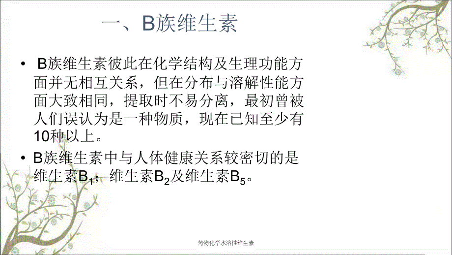 药物化学水溶性维生素课件_第2页