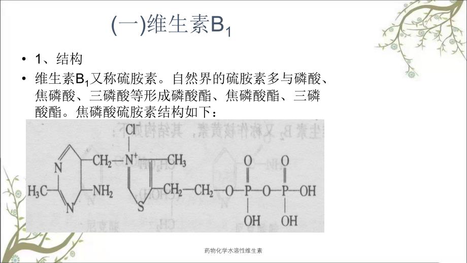 药物化学水溶性维生素课件_第3页