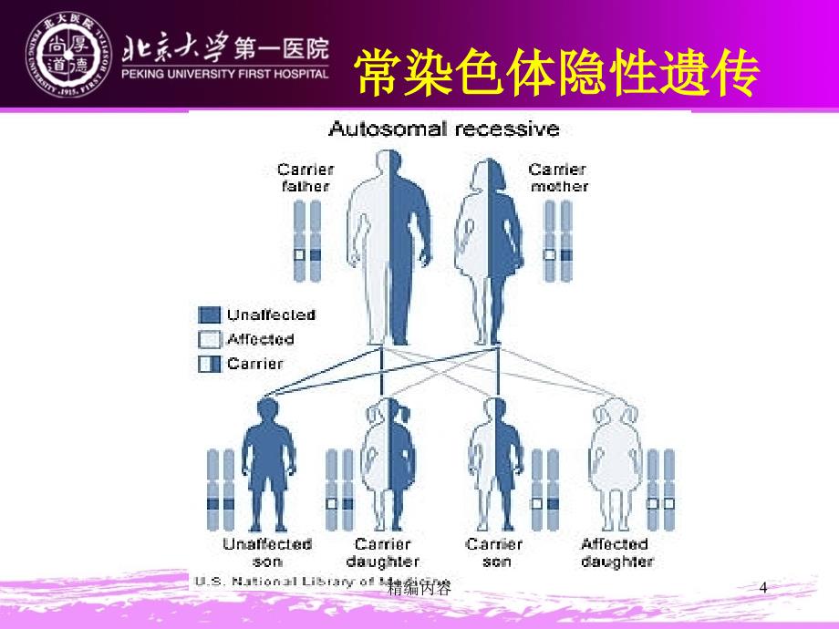 全身型原发性肉碱缺陷（深度分析）_第4页