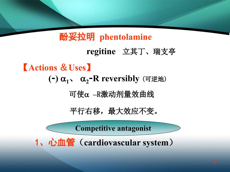 肾上腺素受体阻滞药_第4页