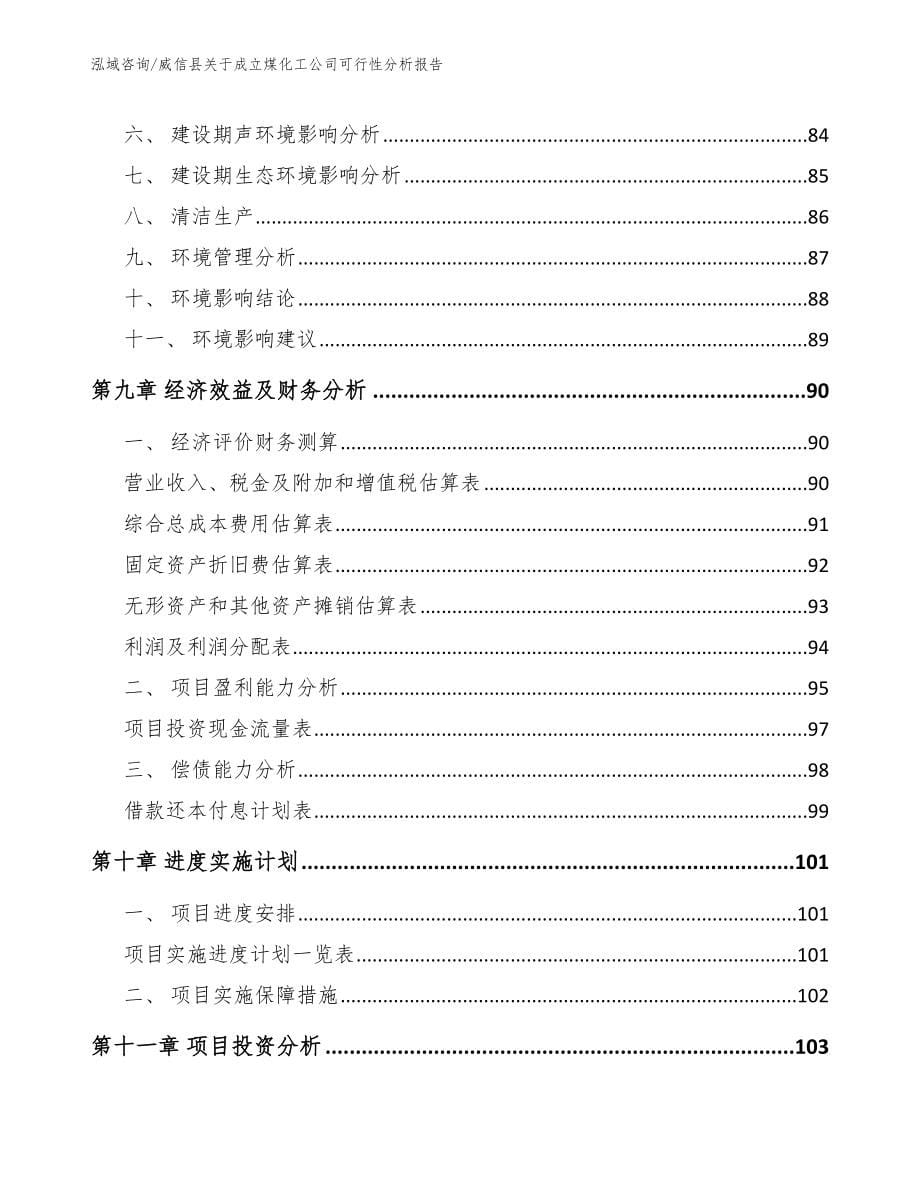 威信县关于成立煤化工公司可行性分析报告_第5页