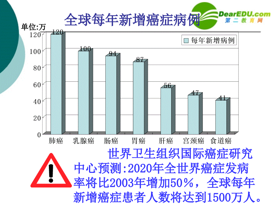 癌细胞的形成 (2)_第2页