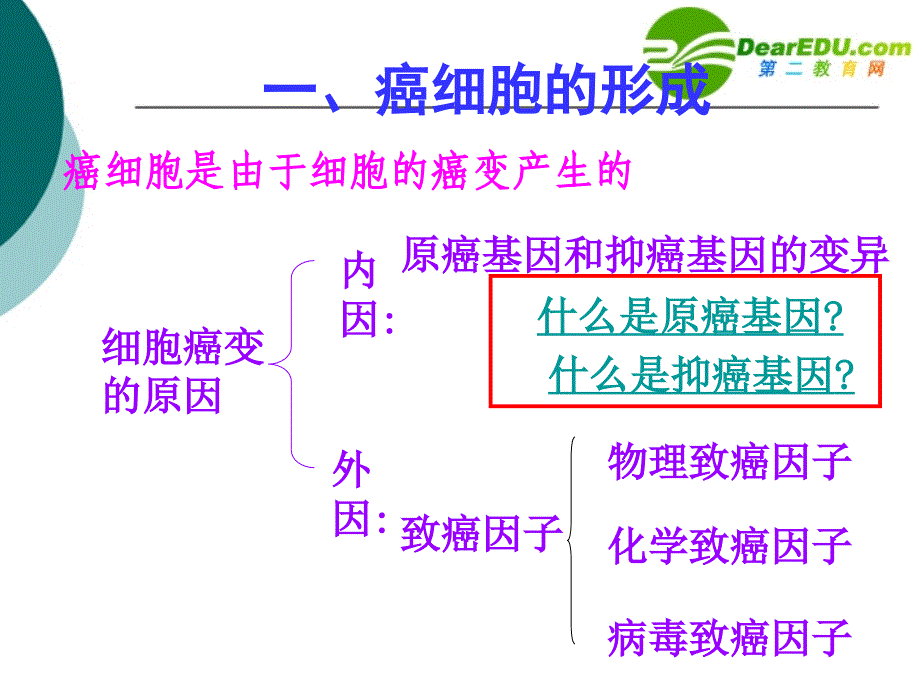 癌细胞的形成 (2)_第4页