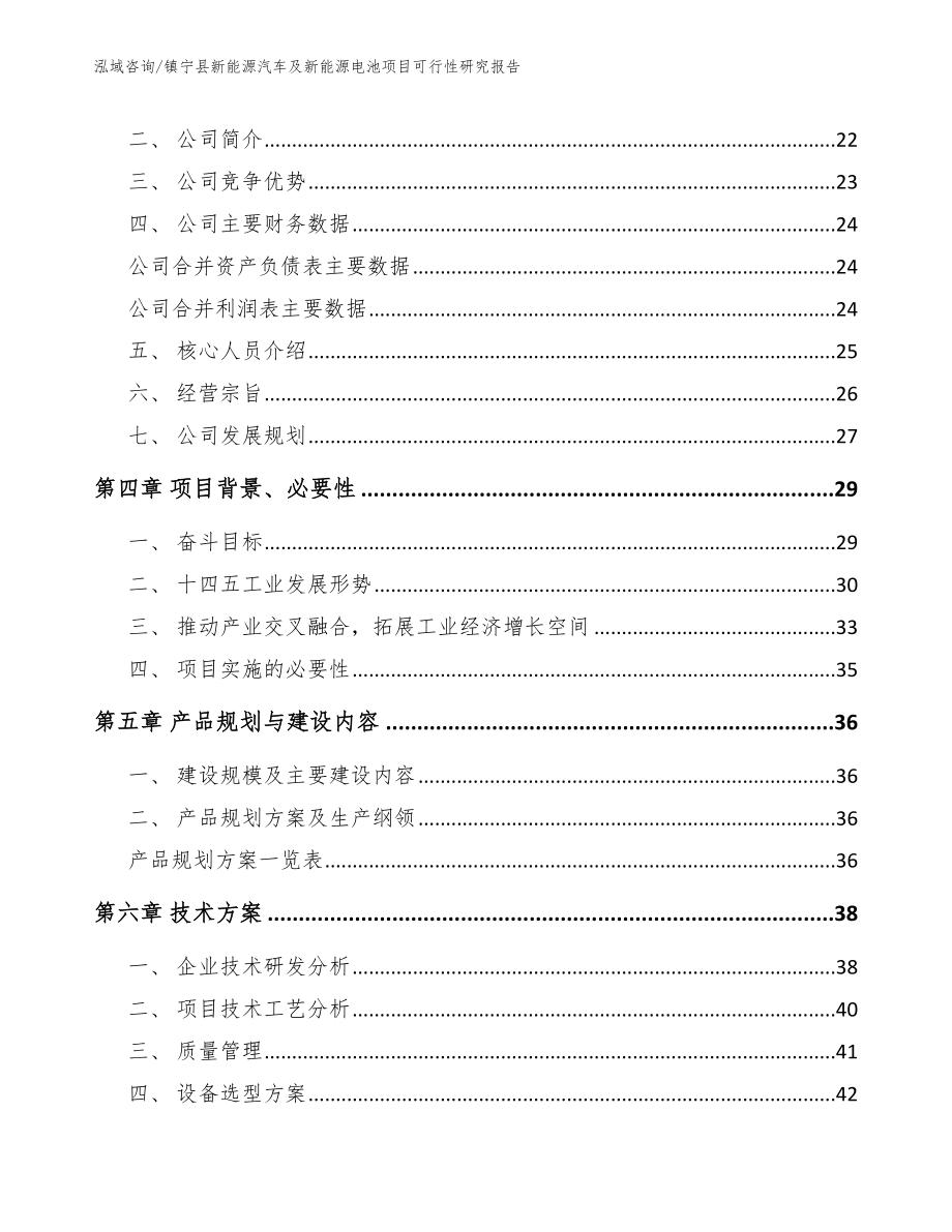 镇宁县新能源汽车及新能源电池项目可行性研究报告_模板范本_第3页