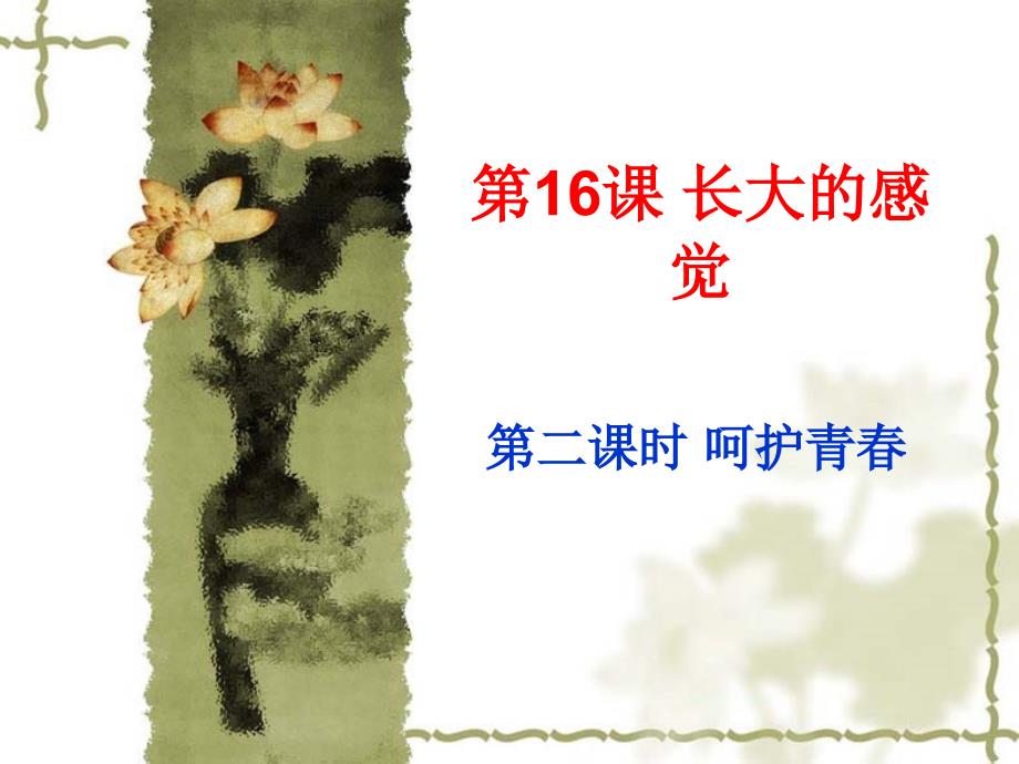 《呵护青春苏教》PPT课件.ppt_第1页