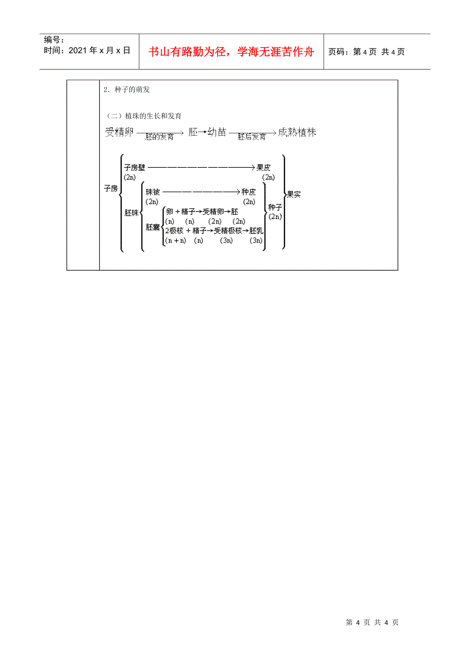 生物的个体发育被子植物的个体发育_第4页